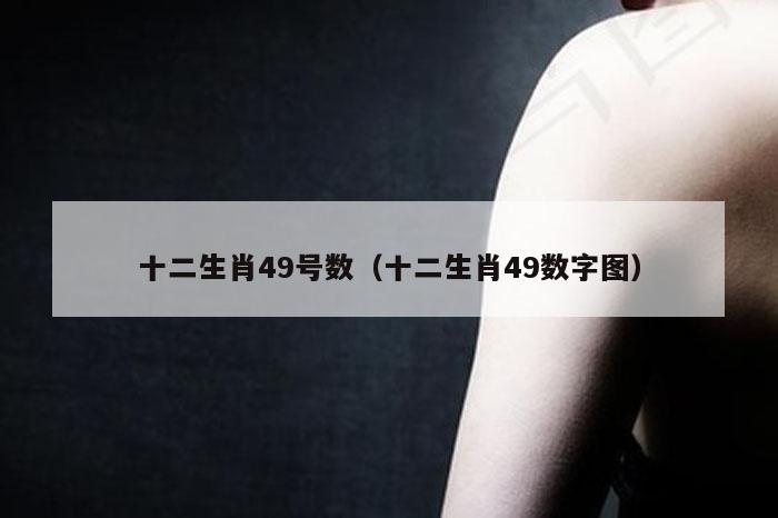 十二生肖49号数（十二生肖49数字图）
