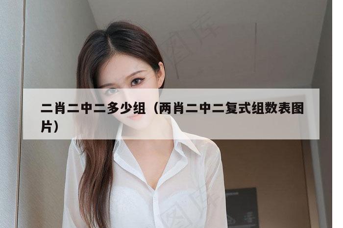 二肖二中二多少组（两肖二中二复式组数表图片）