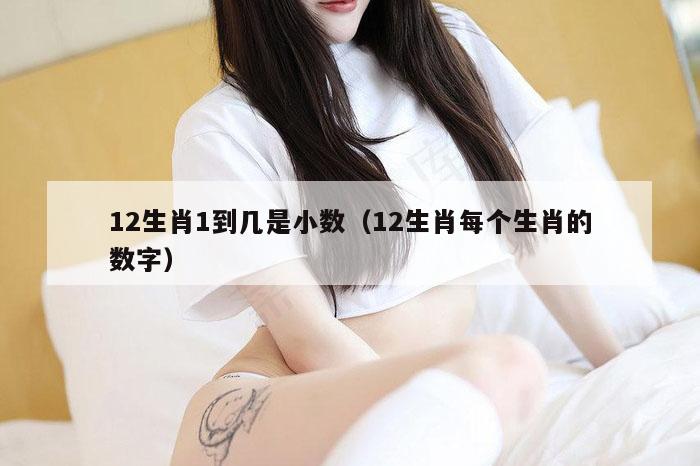 12生肖1到几是小数（12生肖每个生肖的数字）